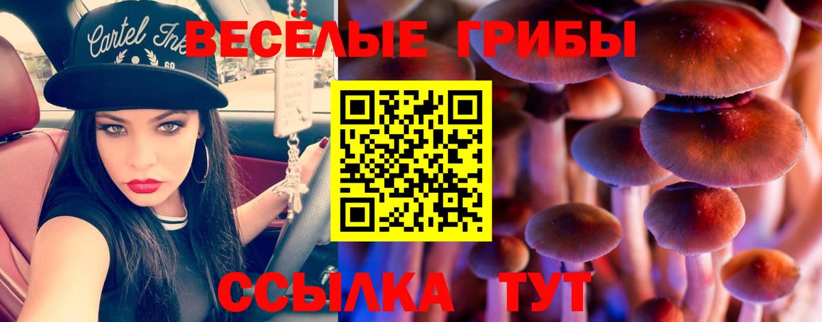 Псилоцибиновые грибы Cubensis  Псилоцибиновые грибы мухоморы  Находка  Вход с VPN 
