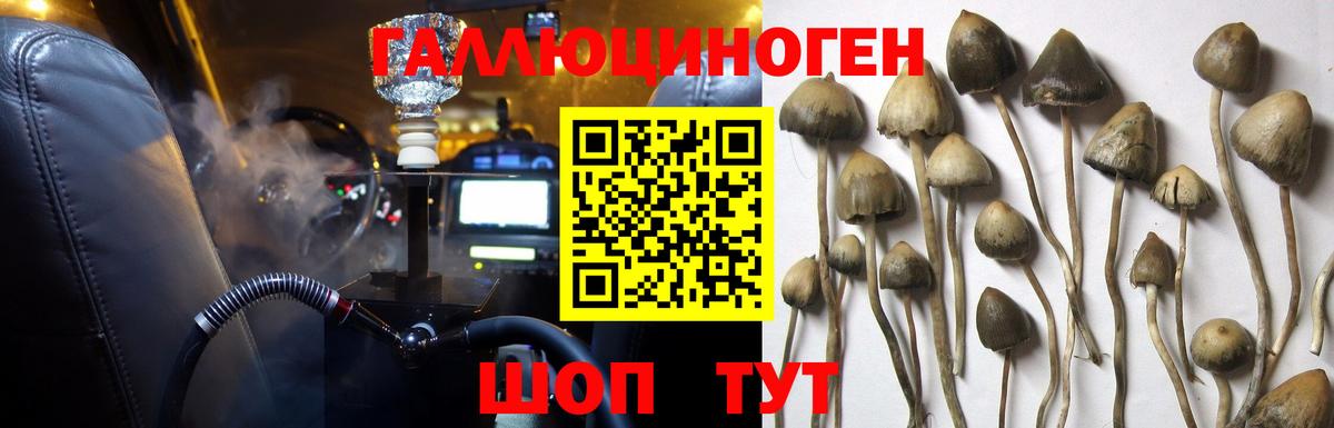 Псилоцибиновые грибы мицелий Находка